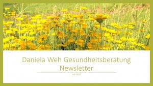 Newsletter 2020 Daniela Weh Gesundheitsberatung