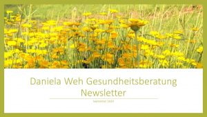 Newsletter September 2020 Daniela Weh Gesundheitsberatung