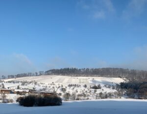 Winterlandschaft - Daniela Weh Gesundheitsberatung